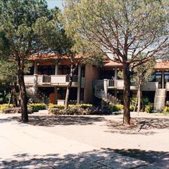 arconet1.jpg