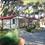 Camping Le Esperidi Marina di Bibbona
