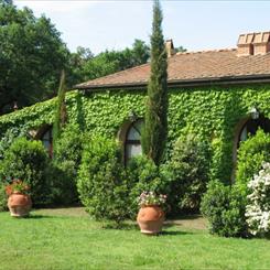 ginestriccio1.jpg