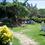 Hotel Nina *** Marina di Bibbona