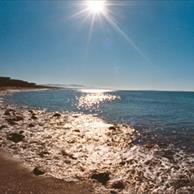 Cecina